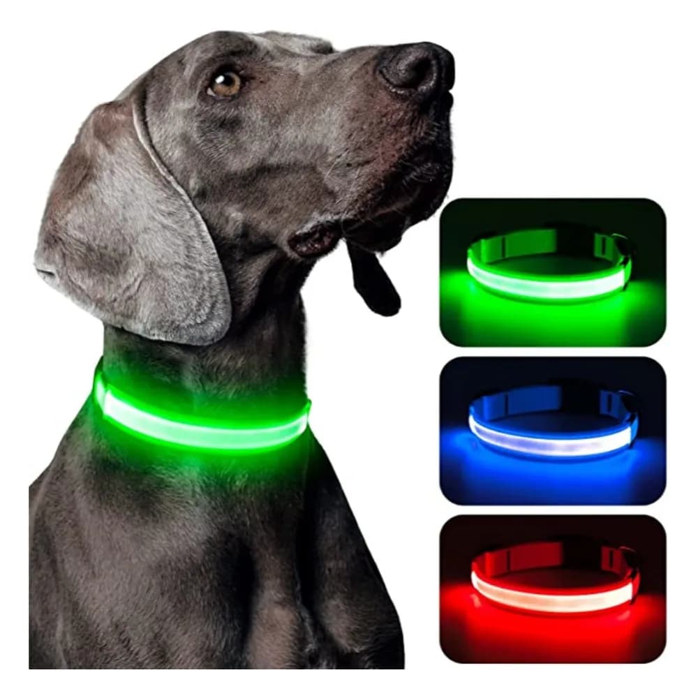 LED Luminous Collar Adjustable Glowing Dog Collar USB Rechargea  Flashing Anti-Lost/Avoid Car Accident Collar Dogs Pet Products - 2