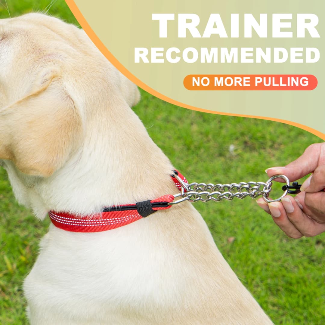 Dog Collar with Air Tag Holder, Reflective Nylon Soft Padded No Pull Training Collars Adjustable Stainless Steel Chain Collar f - 5