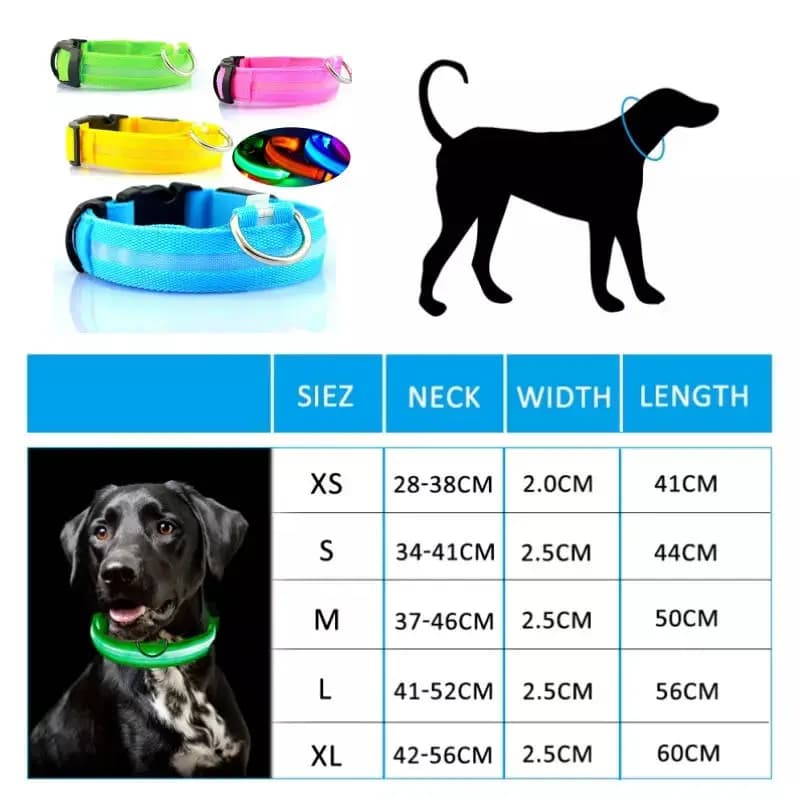 LED Luminous Collar Adjustable Glowing Dog Collar USB Rechargea  Flashing Anti-Lost/Avoid Car Accident Collar Dogs Pet Products - 4