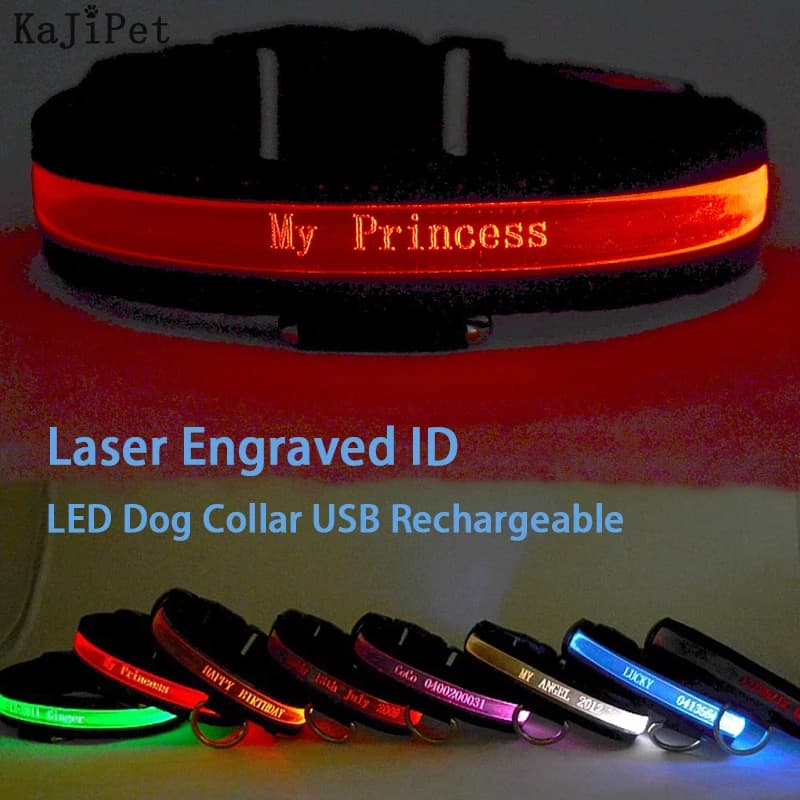 طوق كلب LED محفور هوية مضيء USB مخصص بطاقة كلب مخصصة نايلون طوق كلب حيوان أليف LED USB إضاءة ليلية طوق أمان