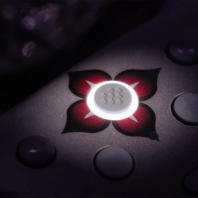 وحدة تحكم الألعاب اللاسلكية 8BitDo Ultimate 2 للكمبيوتر وأندرويد - إيفرنايت (مرخصة رسميًا من Honkai: Star Rail) - 3