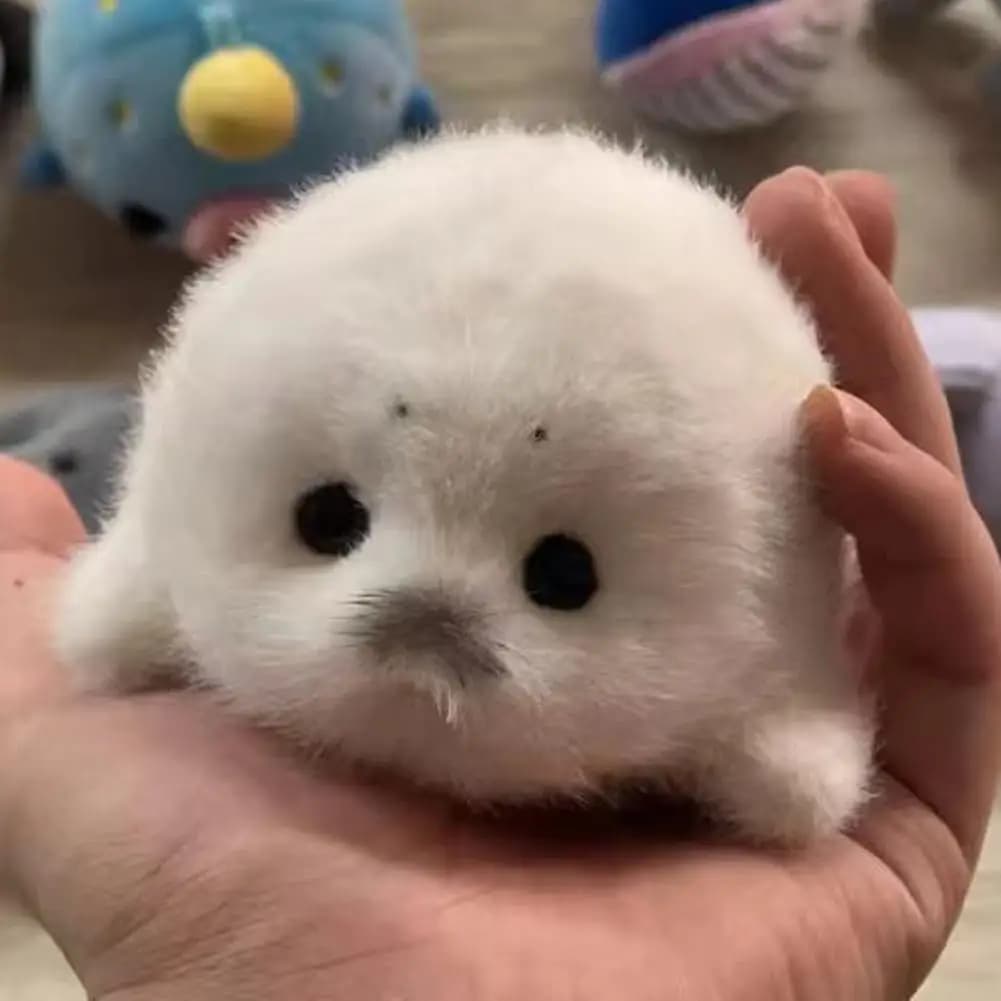 Cute Little Seal Plush Keychain Soft Fluffy Stuffed Animal Pendant Stress Relief Fidget Toy Portable Kawaii Gift for Kid & Adult - 2