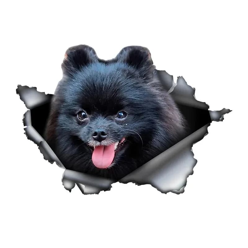 Black and Brown Cavalier King Dog 3D Break the Wall Car Sticker, Waterproof Vinyl Material Accessories 13CM PVC KK - 3