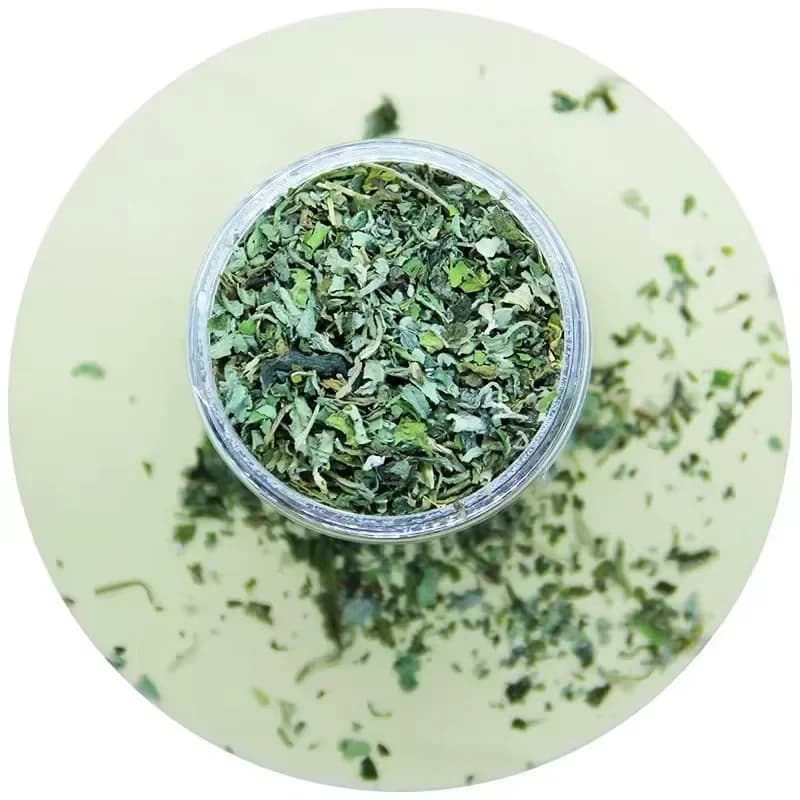 Organic 100% Natural High Quality Catnip Cattle Grass Mint Taste Funny Cat Toy New Cat Toy Interactive Cat Toys Pet Supplies - 3