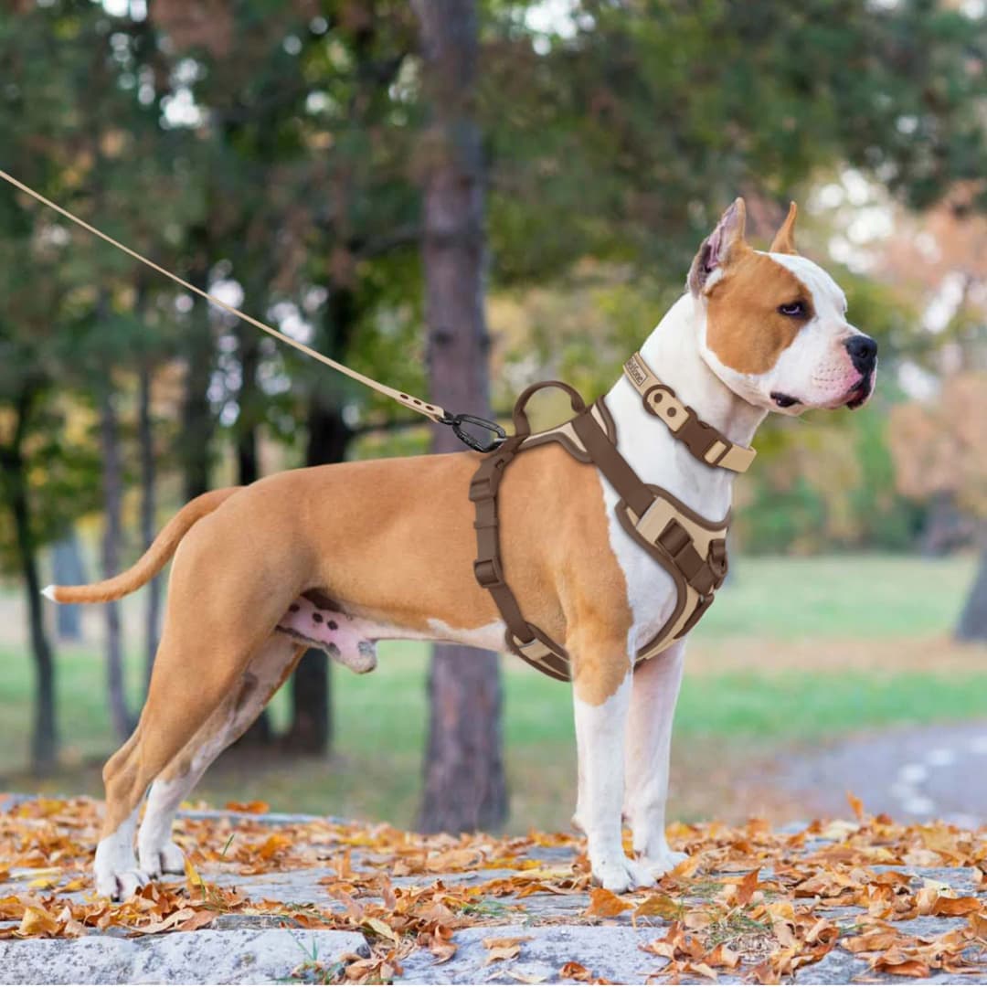 New Chocolate color luxury Dog Harness no pull for large Small dogs Adjustable Chest Strap dog harness personalized - 6