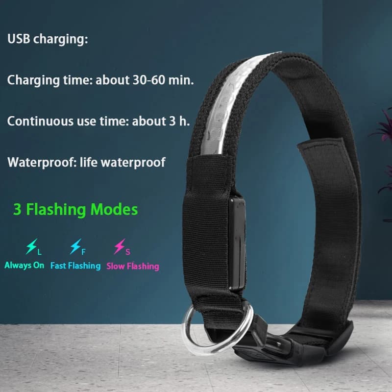 طوق كلب LED محفور هوية مضيء USB مخصص بطاقة كلب مخصصة نايلون طوق كلب حيوان أليف LED USB إضاءة ليلية طوق أمان - 2