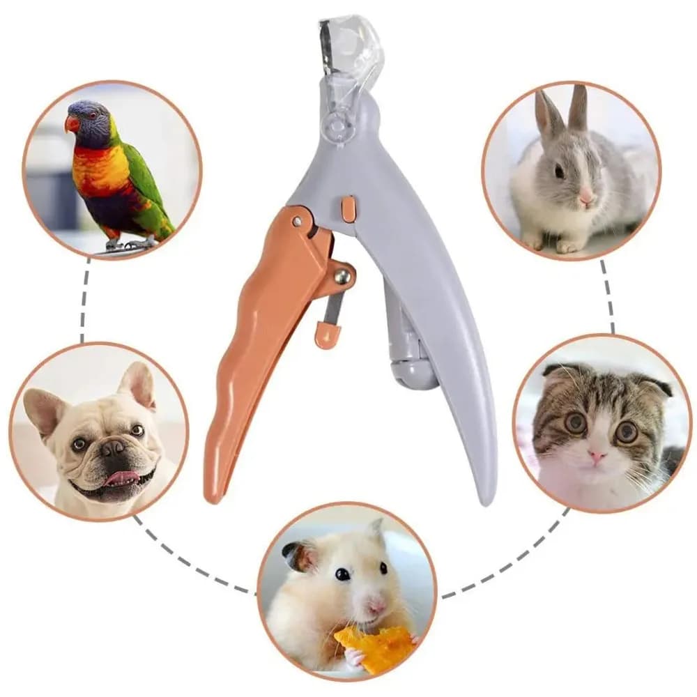 Professional Pet Nail Clipper Scissors With LED Light Cat Dog Nail Clipper Tool Scissors Nail Toeclaw Cutter Scissors Pet Supply - 2
