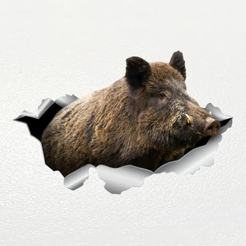 Car Stickers Wild Boar Forest Animal Boar Vinyl Motorcycle Window Decals Waterproof Sunscreen Decorative Accessories - 3