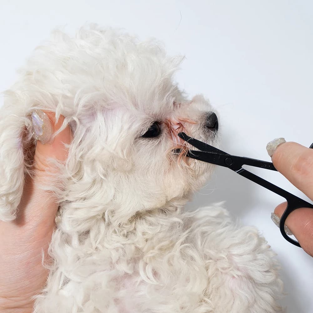 Pet Facial Cleaning Comb Set Removes Tear Stains Eye-poop Cat Paw Comb Dog Hair Repair Scissors Cat Hair Comb Pet Clean Supplies - 6