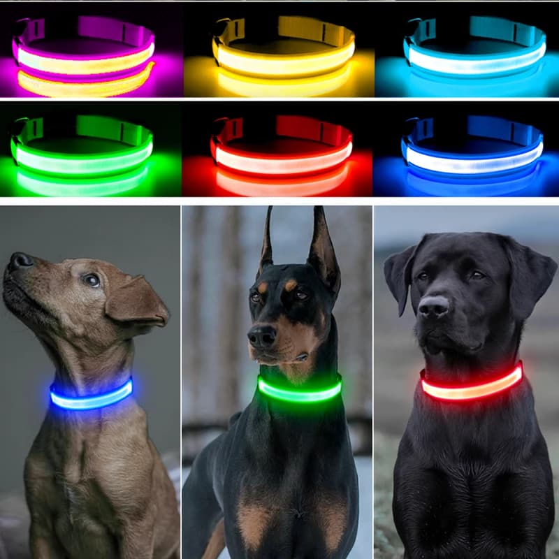 طوق مضيء LED قابل للتعديل طوق كلب مضيء USB قابل لإعادة الشحن وميض مضاد للفقدان/تجنب حوادث السيارات طوق كلاب منتجات الحيوانات الأليفة