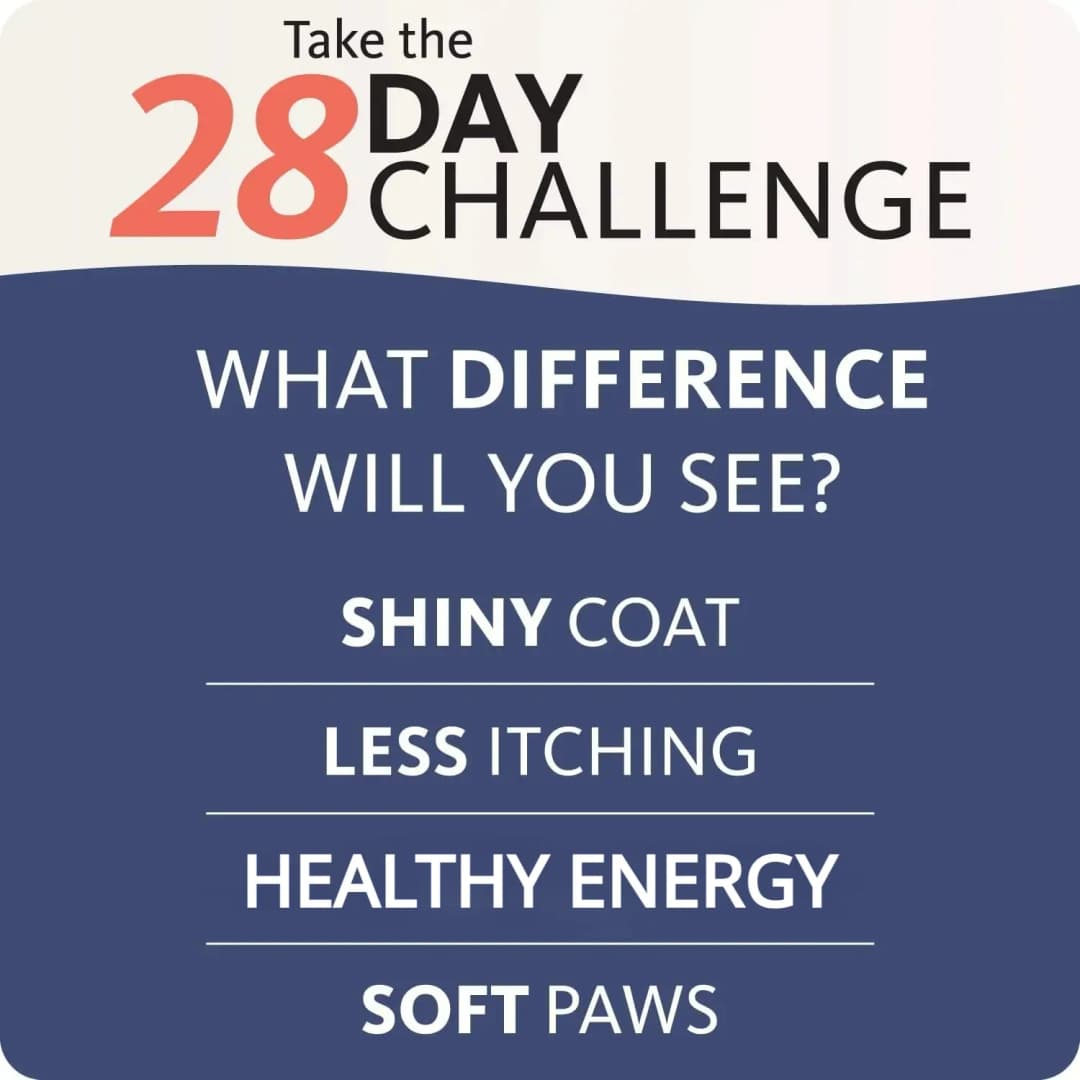 200ml Salmon Fish Oil for Pets, 21 Omega Fatty Acids, Natural Nutritional Supplement for Dogs and Cats - 4