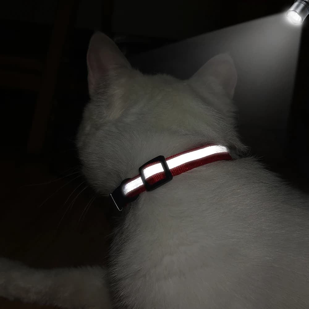 Customized Cat Collar Reflective Cat Collar Free Engraved Puppy Kitten Pet ID Nameplate Necklace With Bell Anti-lost For Cats - 5