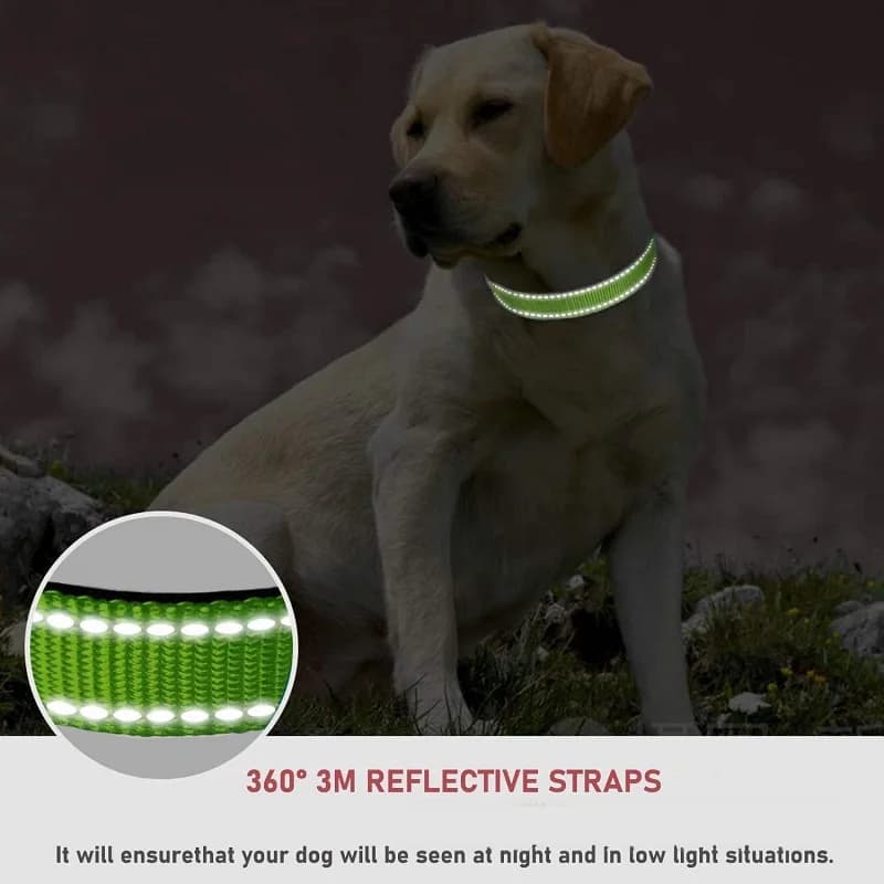 Choker Small Dog Collar Puppy Neck Collars for Dogs Big Decorative Dog Collar GXQ07 - 3