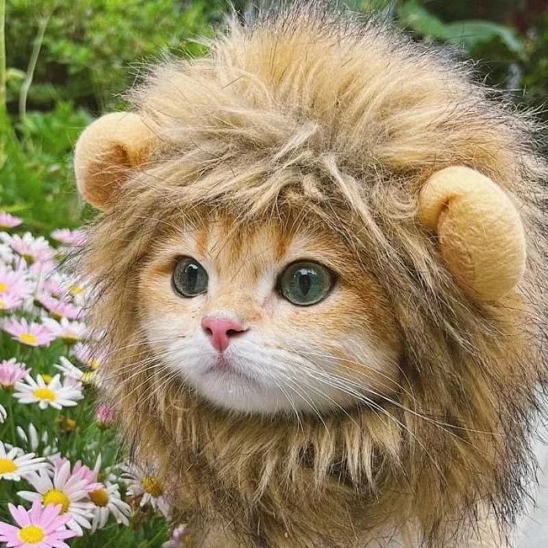 Pet Hairpiece - Humorous Lion Mane Headgear for Dogs and Cats, Adjustable Costume Accessories for Fun Dress-up and Play - 2