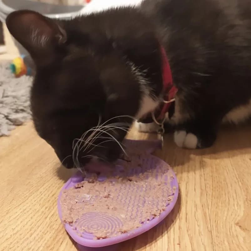 Suitable for pets weighing less than 3 kilograms Mat Cats Slow Food Bowls Suction Cup Feeding Food Silicone Lick，product small - 4