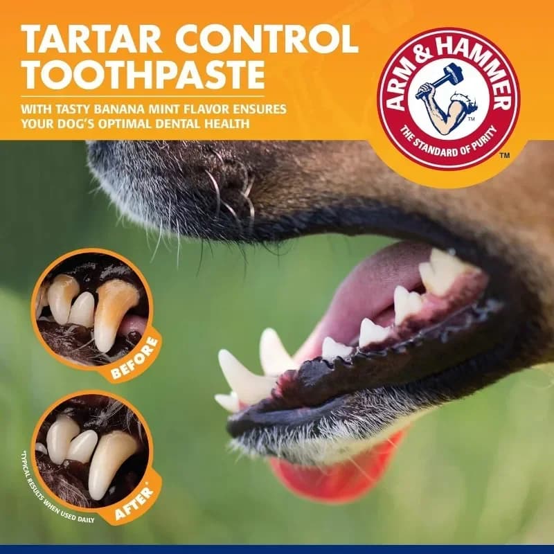 مجموعة أدوات تنظيف للحيوانات الأليفة، عناية باللثة، تقليل البلاك والتكلس، مجموعة معجون أسنان وفرشاة - 5