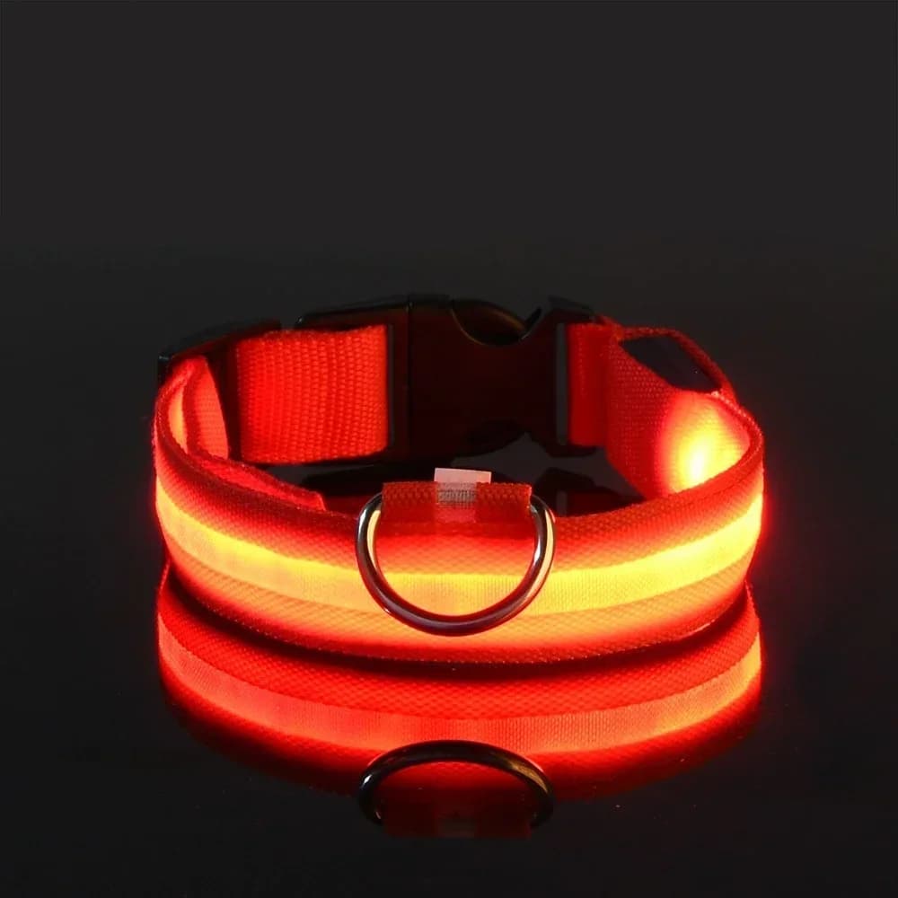 Dog Collar Nylon LED Night Safety Flashing Glow In The Dark Pet Dog Leash pet Dogs Luminous Fluorescent  dog accessories collar - 4