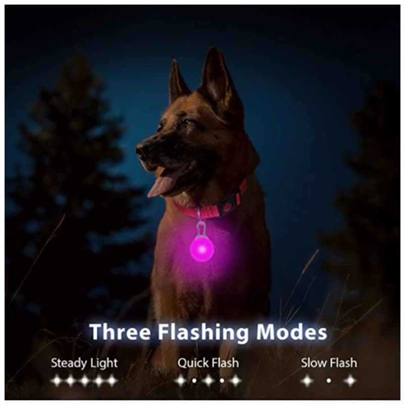 LED Luminous Collar Adjustable Glowing Dog Collar USB Rechargea  Flashing Anti-Lost/Avoid Car Accident Collar Dogs Pet Products - 5