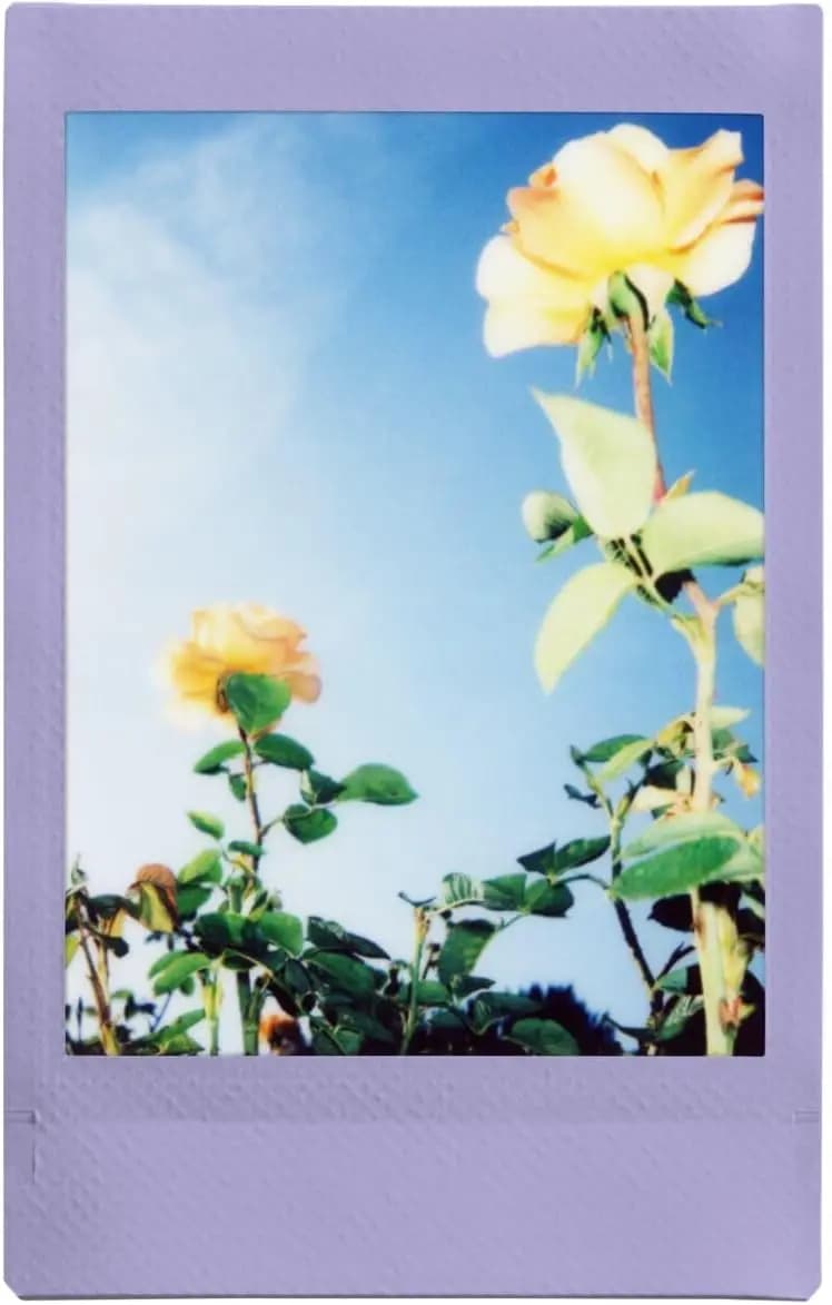 Fujifilm Instax Mini Color Film Soft Lavender Film 10-100 Sheets For Fuji Mini 12 11 8 9 7s 25 26 70 Evo Camera(Expiry-2026) - 5