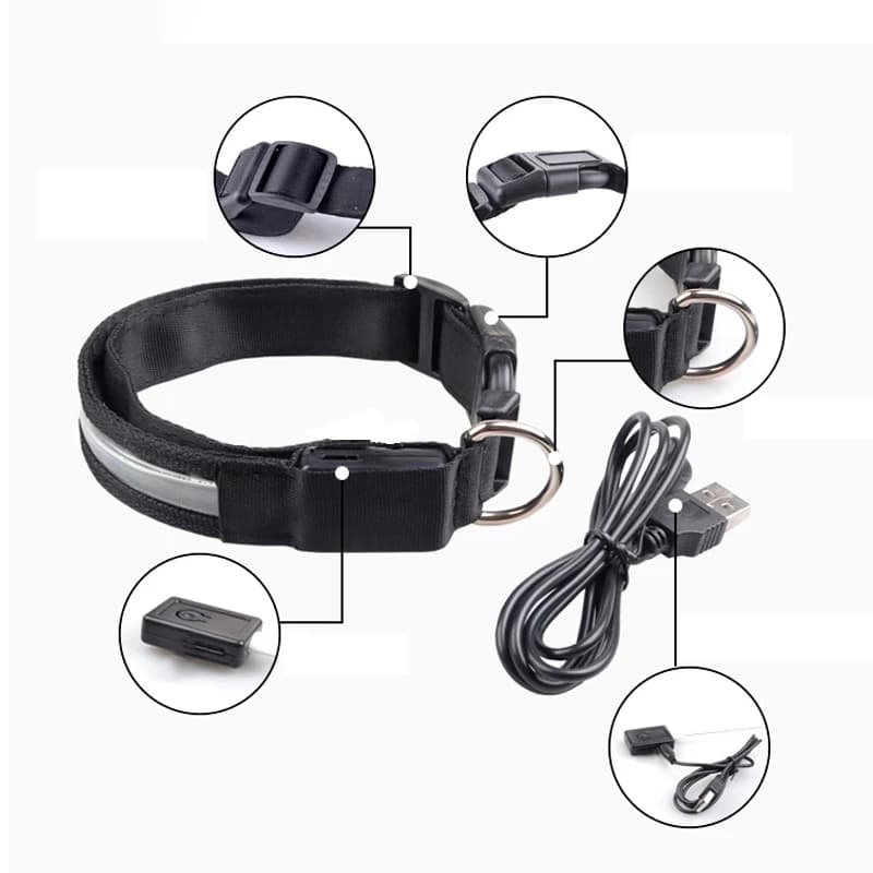 طوق كلب LED محفور هوية مضيء USB مخصص بطاقة كلب مخصصة نايلون طوق كلب حيوان أليف LED USB إضاءة ليلية طوق أمان - 3