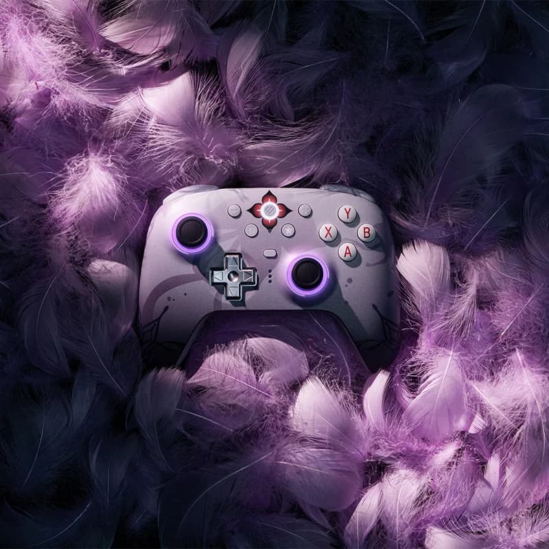 وحدة تحكم الألعاب اللاسلكية 8BitDo Ultimate 2 للكمبيوتر وأندرويد - إيفرنايت (مرخصة رسميًا من Honkai: Star Rail) - 5