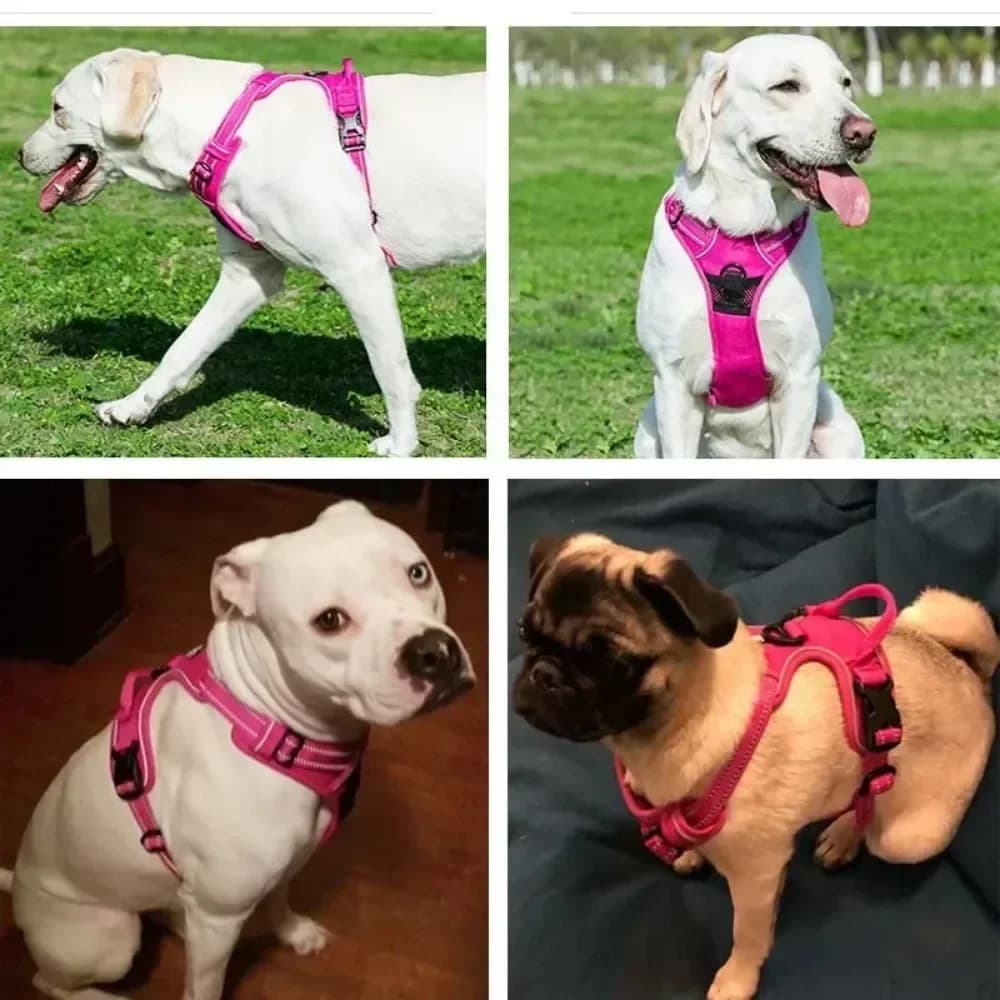 Reflective Adjustable Breathable Vest Chest Strap for Small Medium Large Dogs Pet Dog Harness Cat Puppy Collar Dog Accessoires - 4