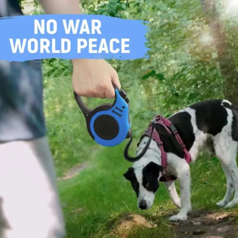 3M 5M Dog Leash for Small Dogs Cat Automatic Retractable Durable Nylon Lead Puppy Outdoor Travel Walking Hiking Traction Rope - 2