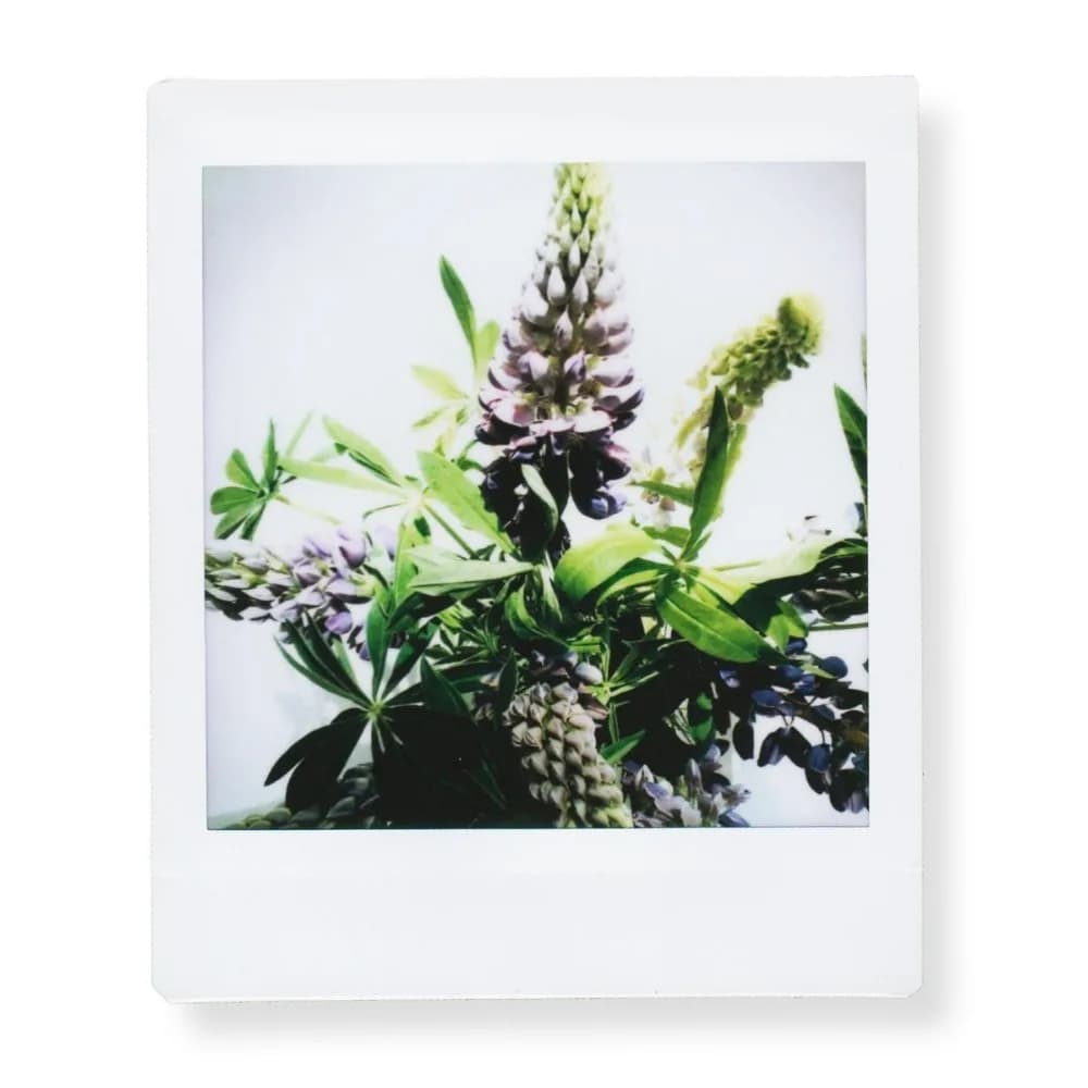ورق صور بحافة بيضاء من Fujifilm Instax Square، 10-100 ورقة، لكاميرا Instax SQ10 وSQ6 وSQ20 وSQ40 الفورية وطابعة SP-3 - 3