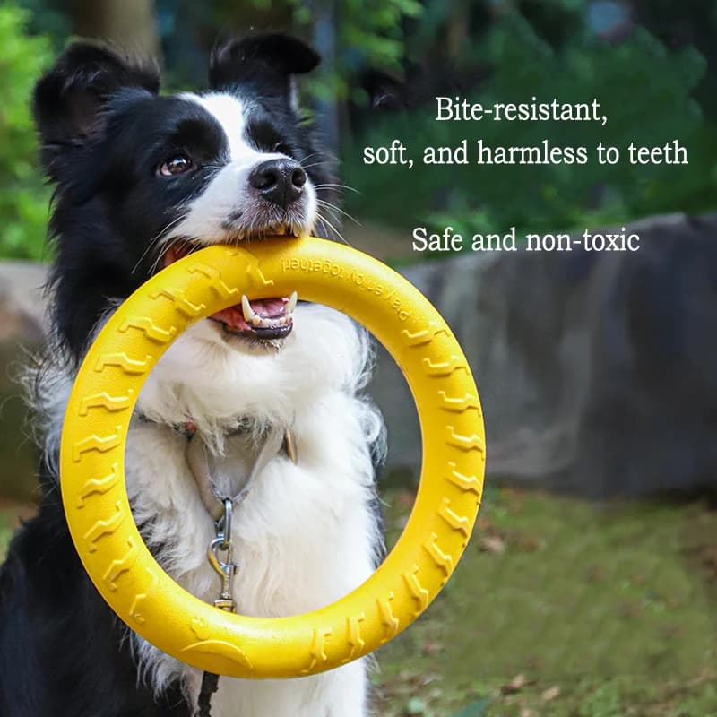 EVA Durable Dog Toys 4 Pack  Flying Disc + Ball + Tug Rope for Puppy&Adult Dogs  Chew-Proof Teeth Cleaning Set（2024 Best Seller） - 2