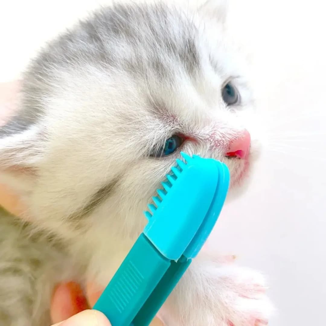 Pet Eye Cleaning Brush Comb Tear Stain Remover Cleaning Grooming Brushes for Small Cat Dog Pets Eye Wipe Cleaner Products - 2