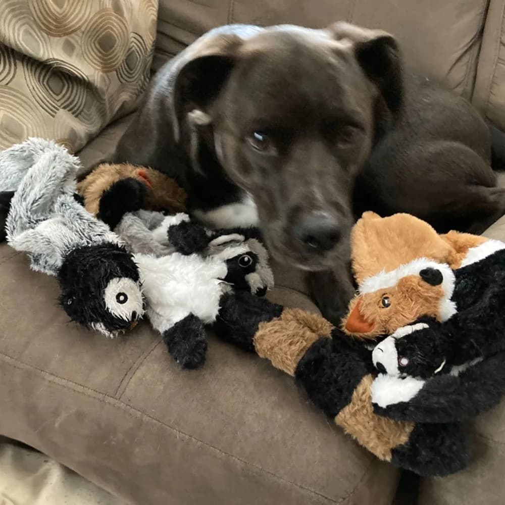 Funny Simulated Animal No Stuffing Dog Toy with Squeakers Durable Stuffingless Plush Squeaky Dog Chew Toy Crinkle Pet Squeak Toy - 5