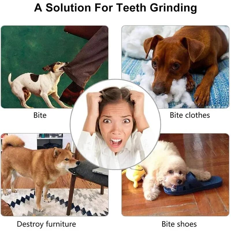 Dog Toy Ball, Nontoxic Bite Resistant Toy Ball for Pet Dogs Puppy Cat, Dog Pet Food Treat Feeder Chew Tooth Cleaning Ball - 6