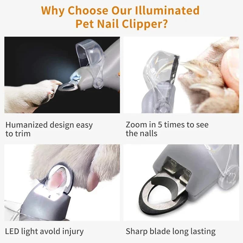 Professional Pet Nail Clipper Scissors With LED Light Cat Dog Nail Clipper Tool Scissors Nail Toeclaw Cutter Scissors Pet Supply - 3