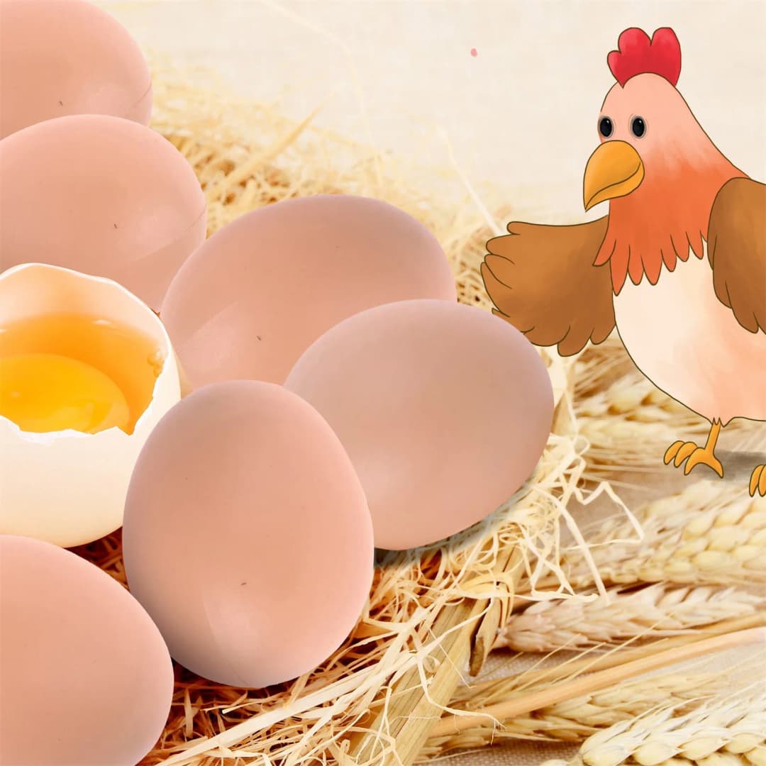 بيض بلاستيكي، بيت للدجاج، بيض مزيف صغير، إمدادات للمزرعة، إكسسوارات للأقفاص، دليل لبناء عش الدجاج - 2