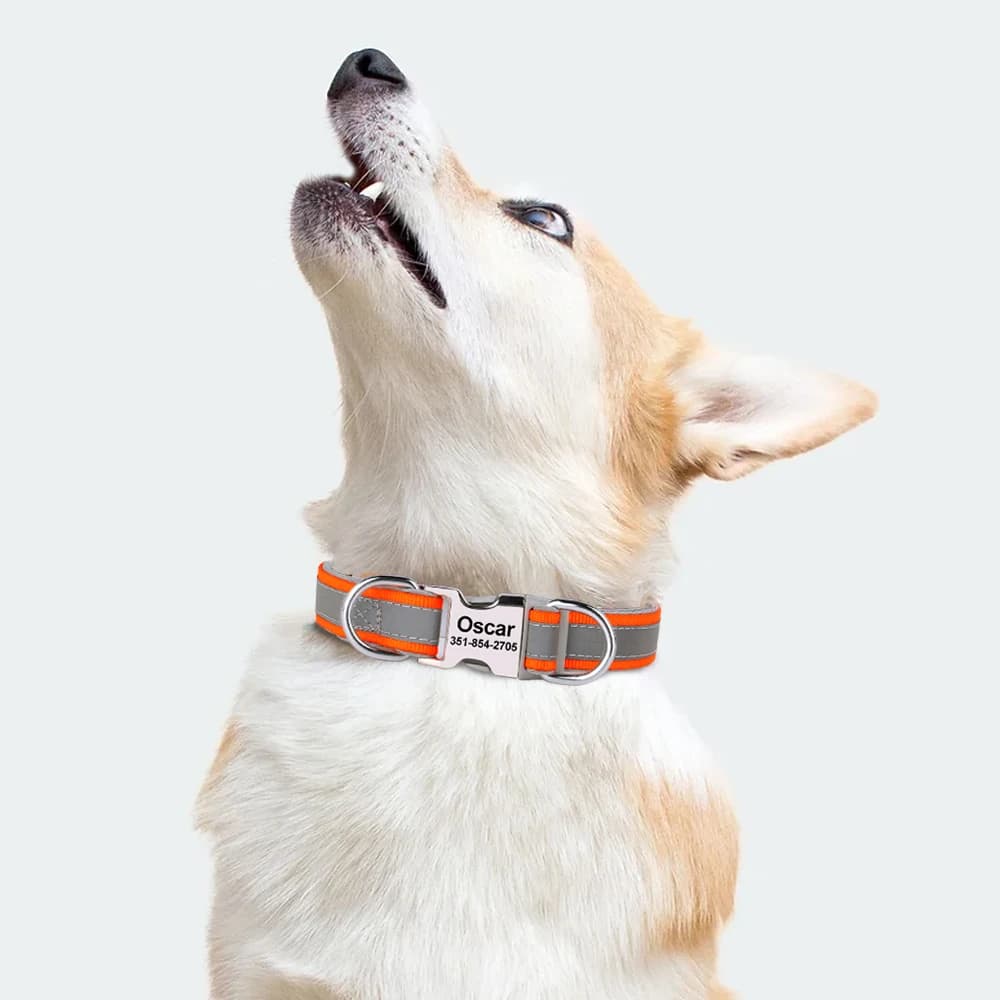 Reflective Personalized Dog Collar Engrave ID Nylon Collars Soft Padded Dogs Collar Adjustable for Small Medium Large Dogs Pug - 6