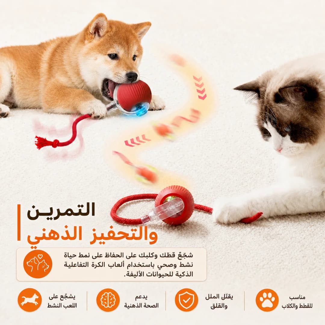 New Dog Interactive Ball Toy,Automatic Rolling Dog Ball Rechargeable,Smart Puppy Interactive Toy,Intelligent Balls Toy for Dogs - 5