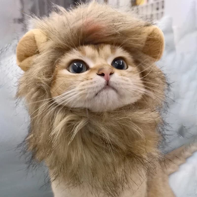Pet Hairpiece - Humorous Lion Mane Headgear for Dogs and Cats, Adjustable Costume Accessories for Fun Dress-up and Play - 3