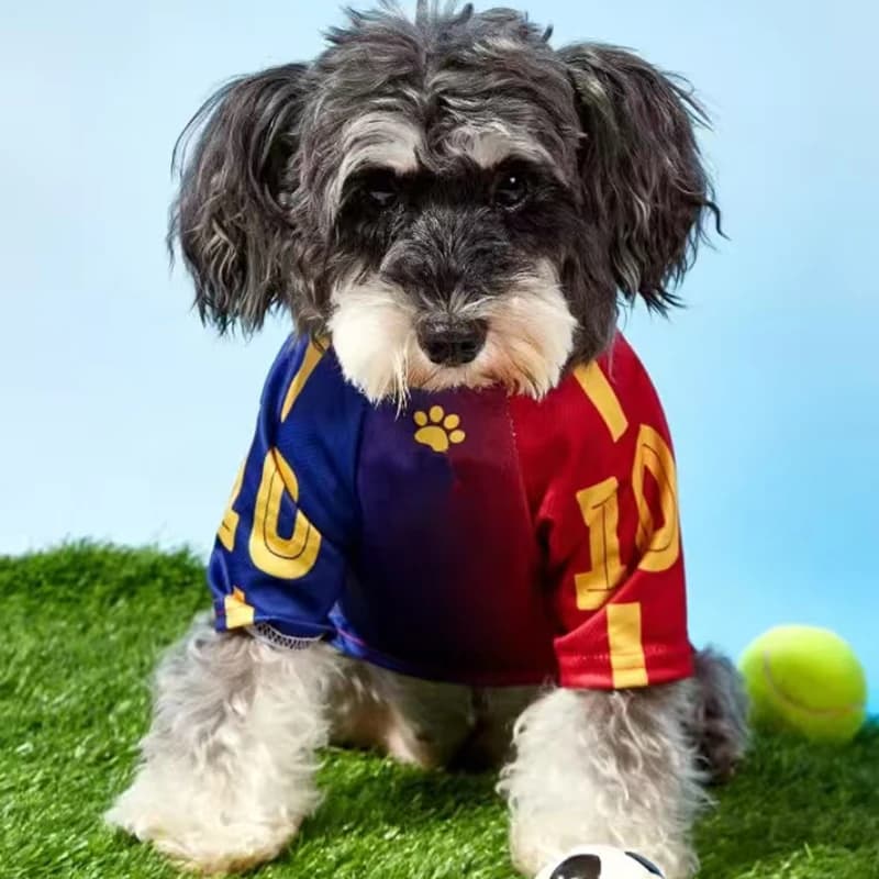 No.10 Red&Blue Mesh Breathable Dog Clothes Teddy Sport Large Dog Jersey Basketball Clothing Puppy T-Shirts Summer Pet Cat Shirts - 2