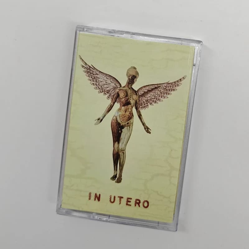 EU US Grunge Rock Music Tape MTV Unplugged in New York Album Nevermind Cassettes Cosplay Walkman Car Recorder Soundtracks Box - 4