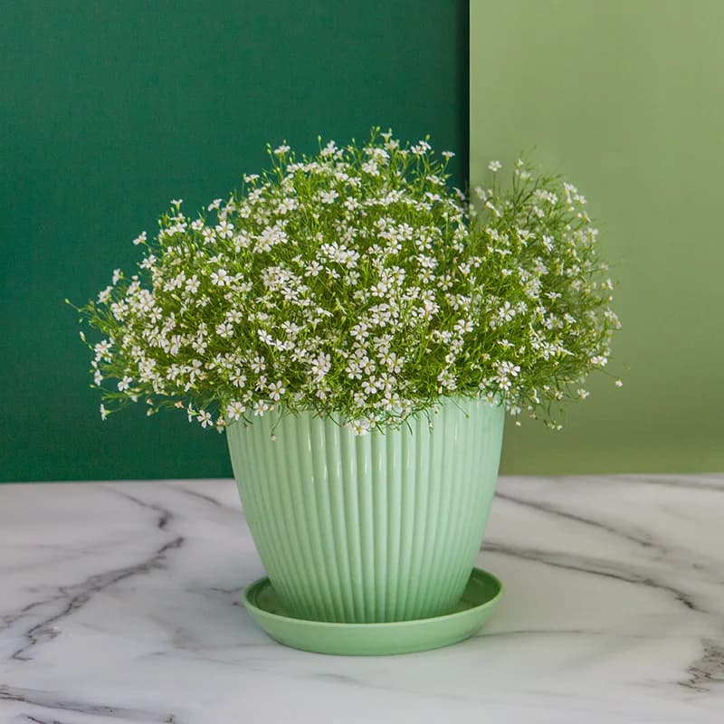 Flower Pot Round Planters Succulents Plant Pot with Tray Office Desktop Balcony Home Garden Decoration Outdoor Potted 5 Sizes - 4