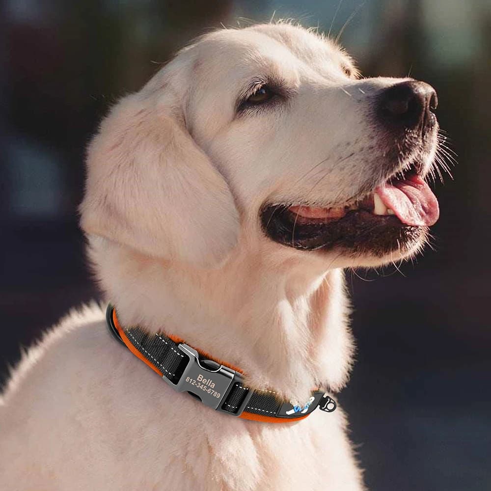 Reflective Personalized Dog Collar Engrave ID Nylon Collars Soft Padded Dogs Collar Adjustable for Small Medium Large Dogs Pug - 5