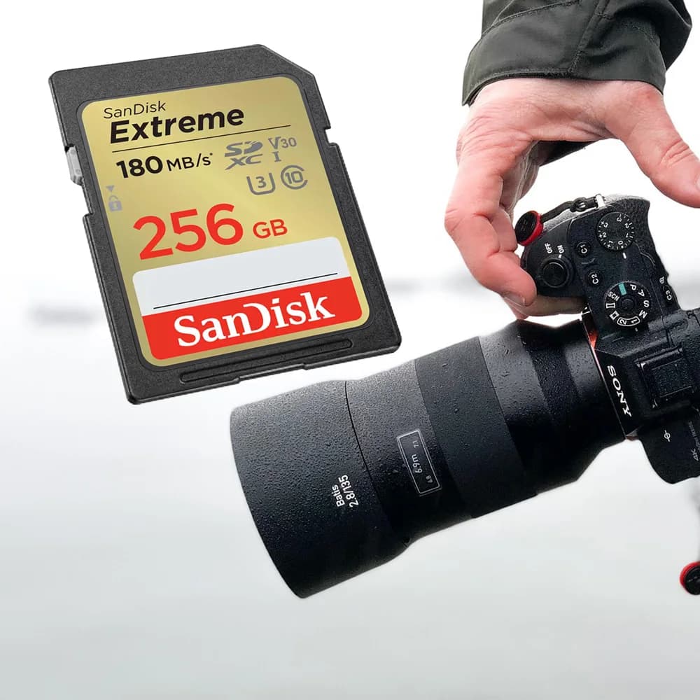 بطاقة SanDisk Ultra SDHC UHS-I وبطاقة ذاكرة SDXC بسعة 32 جيجابايت و64 جيجابايت و128 جيجابايت و256 جيجابايت - بطاقة SD أصلية للكاميرا بسرعة تصل إلى 150 ميجابايت/ثانية - 5