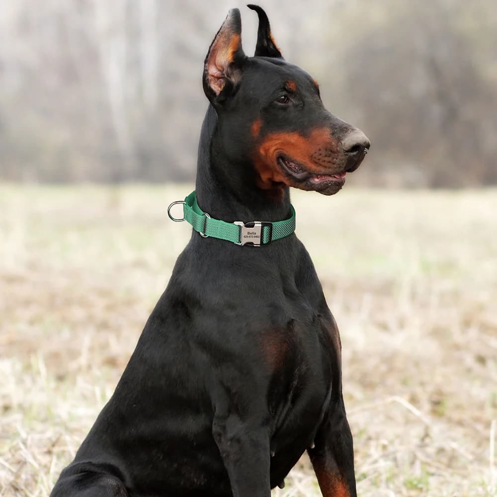 Custom Dog Martingale Collar Nylon Reflective Dog Collars With Engraving Metal Buckle Adjustable For Dogs Prevent Slipping Out - 5