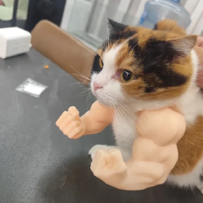 Cat Muscle Arm Pendant Pet Cat Fist Neck Fist Set Show Cat Doll Arm Strong Neck Hanging - 4