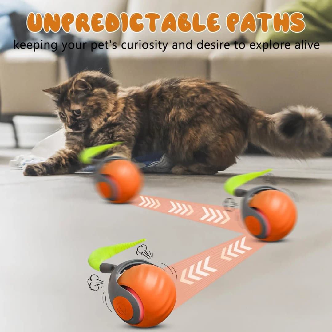 New Speedy Tail 2.0 Cat Toy Speedy Tail Cat Toy Interactive Cat Ball Toy Smart Cat Toys Ball Two Speed Adjustment with Tail  - 3