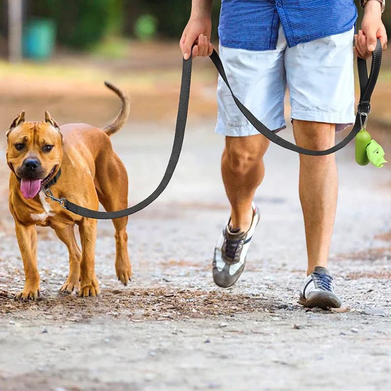 Cats Dogs Harness Collar Lead Strap Night Reflection Dog Pet Towing Rope 1.2/1.5/1.8m Guard Rope Pet Walking Training Leash - 3